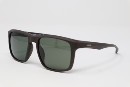 Occhiale da sole RH+ PR536