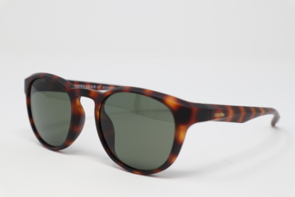 Occhiale da sole RH+ PR537